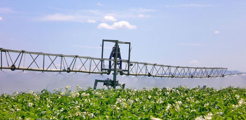 Sistema de irrigação linear alimentado por mangueira - FVT 25/32 - IRRIMEC s.r.l. - com rodas / para ambiente externo
