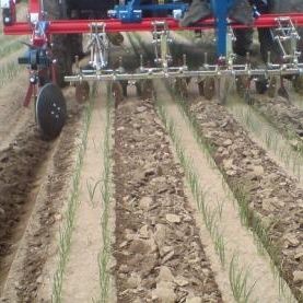 Cultivador rotativo frontal - DUO - K.U.L.T. Kress Umweltschonende Landtechnik GmbH - capinador / com controle de profundidade