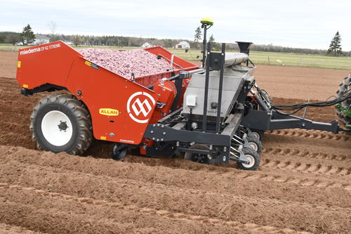 Transplantadora para batatas - CP 62 Xtreme - Dewulf Group - automática / de 6 linhas / de arrasto