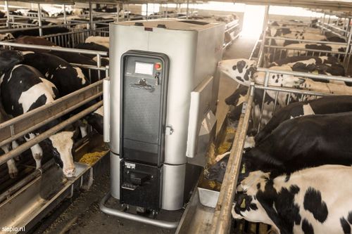 Robô de alimentação para bezerros - FR Series - Sieplo BV - autopropelido / programável / com rotor