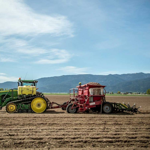Transplantadora para batatas - 8060 - Spudnik Equipment Company LLC - automática / de 6 linhas / de arrasto