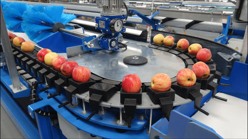Classificadora para frutas - Novagram - PERFECT - VAN WAMEL - para tomate