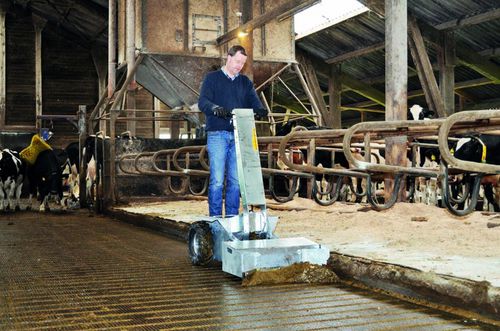 Raspador de esterco autopropelido - CMA 800 Elektro - Westermann GmbH & Co. KG - reto / em V / para corredores estreitos