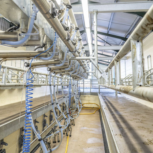 Sala de ordenha para vacas - HD50 - ATL - Agricultural Technology Ltd. - tipo espinha-de-peixe / com braços suspensos / com distribuidor de ração