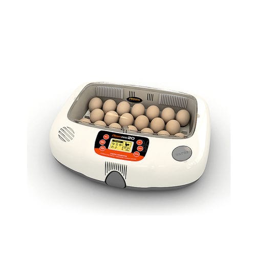 Chocadeira com viragem automática - PRO 20 - Autoelex Co., Ltd. - para gansos / de galinha / tipo caixa