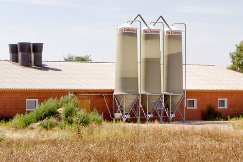 Sistema de alimentação para suínos - EcoMatic pro - Big Dutchman - de tubo / para ração seca