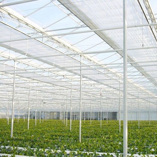Estufa multicapela - Big Dutchman - em vidro / com ventilação lateral / com painel solar