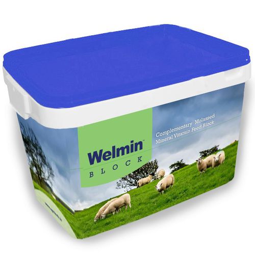 Suplementação em bloco para ovinos - Welmin Sheep Block - AGRITECH - com oligoelementos / vitamínica / para aumento da fecundidade