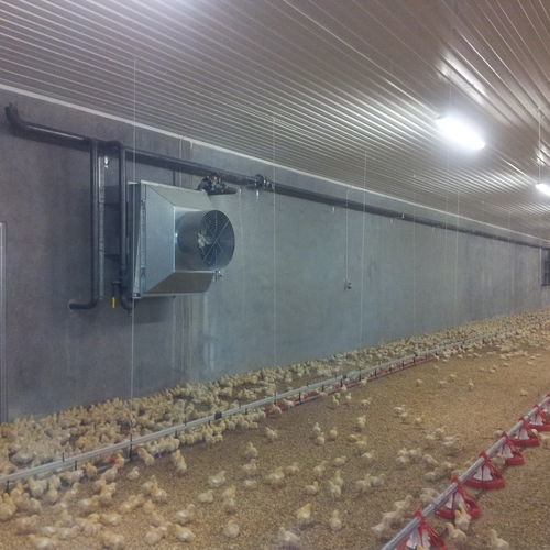 Sistema de aquecimento a água quente - HEAT60 - DACS A/S - para montagem no teto / para galpão agrícola