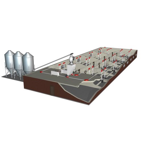 Sistema de alimentação para suínos - MultiPhase™ - Fancom B.V. - para ração seca