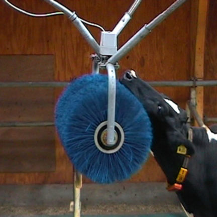 Escova para pecuária - VEEB0001A - Holland Animal Care - giratória / para vacas / horizontal