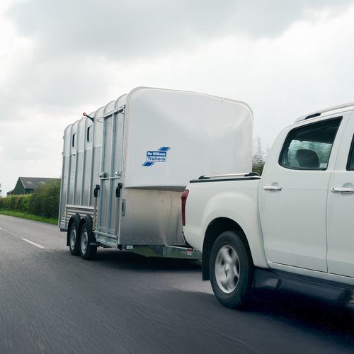 Reboque de transporte de gado para cavalos - HB510XL & HB610 - Ifor Williams Trailers Ltd. - em tandem