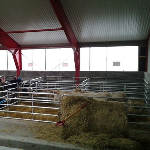 Sistema de ventilação para galpão agrícola - Skiold