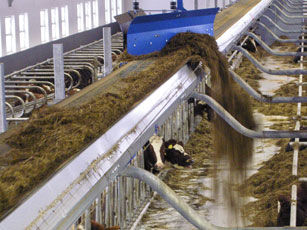 Sistema de alimentação para vacas - System Happel GmbH - estacionário / com esteira transportadora