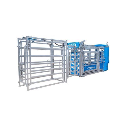 Portão de separação para vacas - TAURUS HD5 - Te Pari Products Ltd. - automático / com sistema de detecção de peso