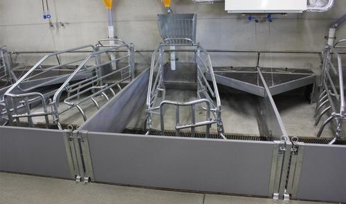 Cela parideira com bebedouro - Vissing Agro A/S