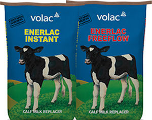 Substituto de leite para bezerros - Enerlac - Volac - em pó