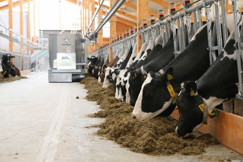 Software de análise - DIGIMILK - WASSERBAUER GmbH Fütterungssysteme - de gestão de dados / agrícola / de alimentação