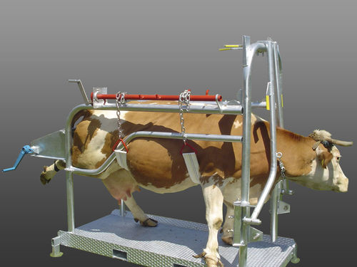 Tronco de contenção para vacas - KPB - Zaklady Metalowe w Przysiekach Sp. z o.o. - veterinário