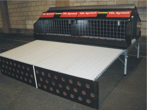 Sistema de criação de frangos de carne em gaiolas - VDL - Zhucheng Zhongyu Mechanical and Electrical Equipment Co., Ltd.