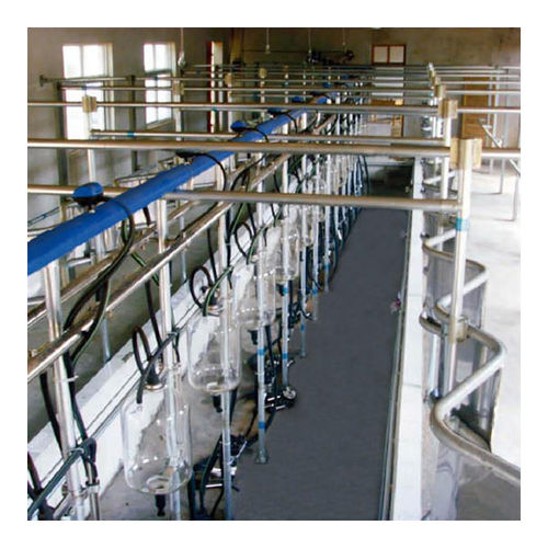 Sala de ordenha para vacas - Zibo Lujin Machinery Factory - paralela