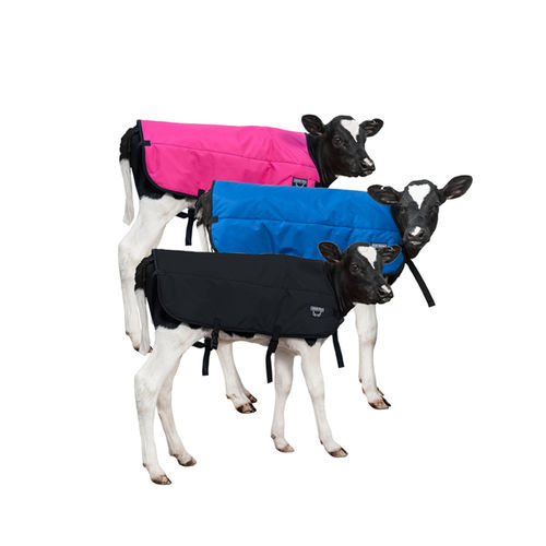 Manta para bezerros - Udder Tech, Inc.