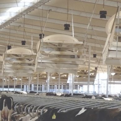 Ventilador para galpão de criação de animais - 104382 - Artex Barn Solutions LTD. - de recirculação / com moldura / de fibra de vidro