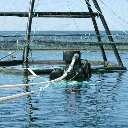 Sistema de alimentação tipo canhão - SUBFEEDER - Steinsvik AS - para aquicultura / flutuante