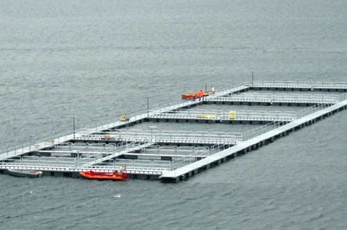 Píer flutuante para aquicultura - Steinsvik AS - em aço / modular