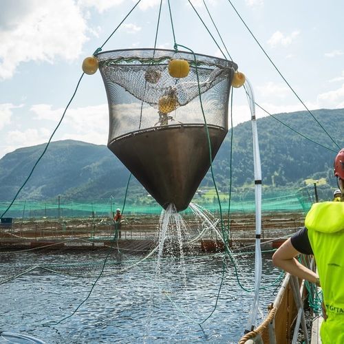 Tela para aquicultura para divisão de tanque - Bio Seize - Mørenot Aquaculture AS