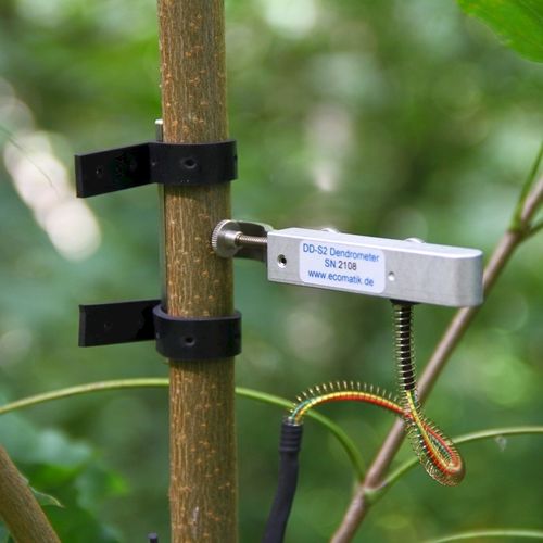 Dendrômetro para caules - DD-S series - Ecomatik - para árvores / com registrador de dados