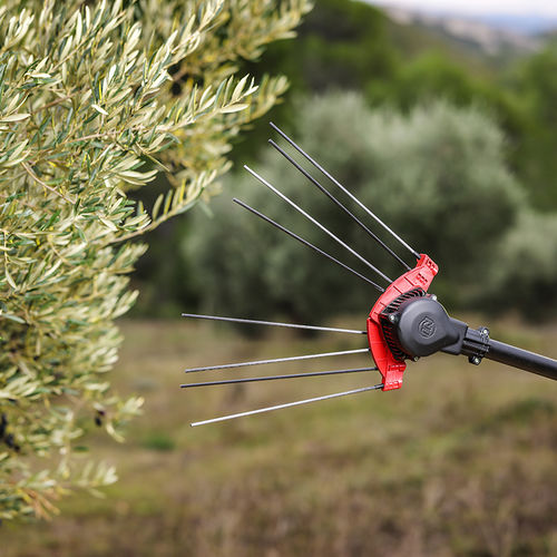 Derriçador elétrico para azeitonas - V5000 - INFACO