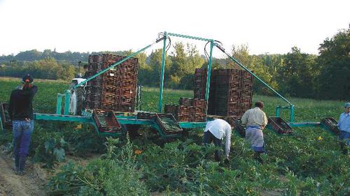 Carreta prancha - Jaulent Industrie - com 1 eixo / agrícola / para hortaliças
