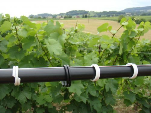 Gancho de plástico para aramação - AX2t28 - Prenas Plastique