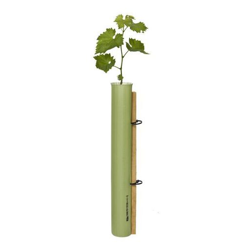 Tubo protetor de planta para vinha - Standard Vine - Tubex