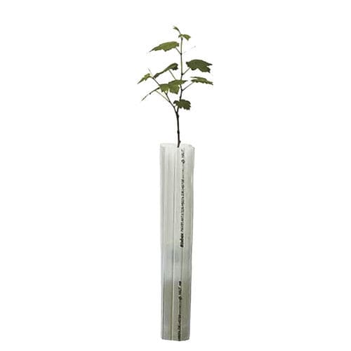 Tubo protetor de planta para arboricultura - Tubex - em rolo