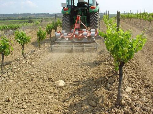 Cultivador montado - CVPH series - Vila Maquinaria Agricola - dobrável