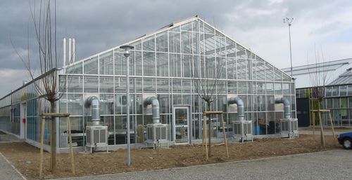 Estufa tipo Venlo - CMF project - experimental / em vidro