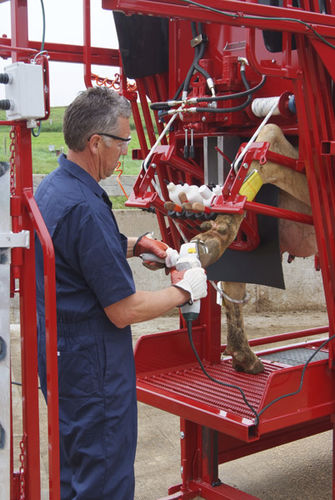 Tronco de contenção para vacas - Accu-trim - Comfort Hoof Care - hidráulico / para cuidados com os cascos
