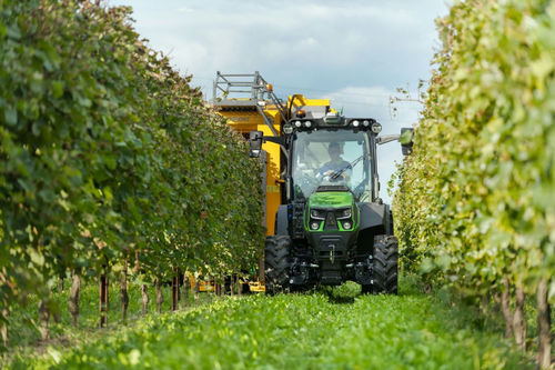 Trator para arboricultura - 5 DF/DS/DV TTV - Deutz-Fahr - vinhateiro / de 4 cilindros / de 3 cilindros