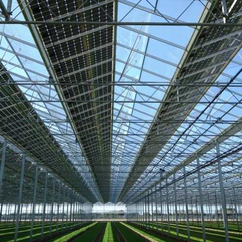 Estufa tipo Venlo - Solar Venlo® - HORCONEX - multicapela / em vidro / com painel solar