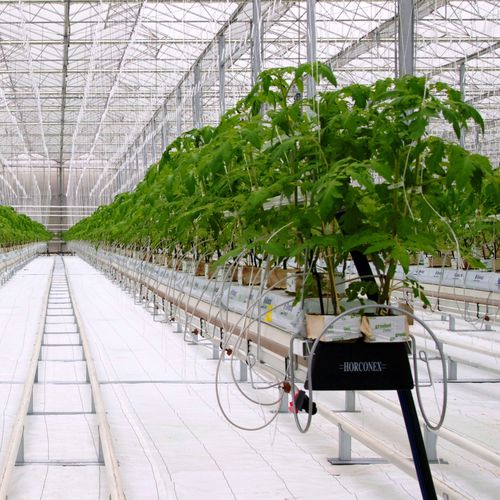 Canal de cultivo hidropônico em aço - HORCONEX - suspenso