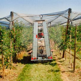 Pulverizador montado - QU H Series - WEBER - HOLDER - para viticultura / para pomar / hidráulico