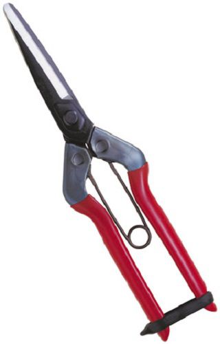 Tesoura de colheita para frutas - T-70 series	 - CHIKAMASA Co., LTD. - para cebolas