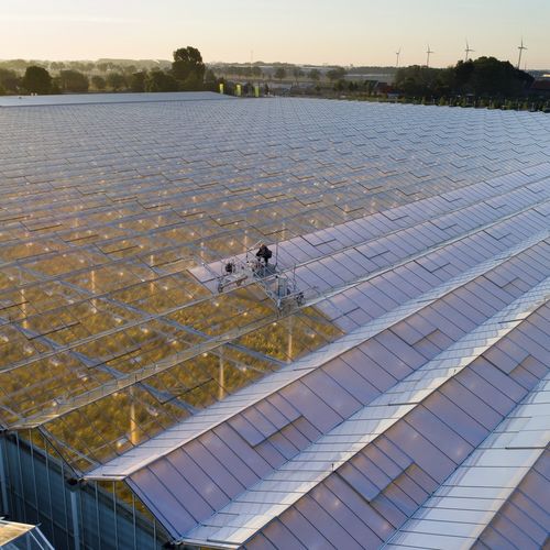 Revestimento para estufa - ReduFlex blue - ReduSystems - antirreflexo