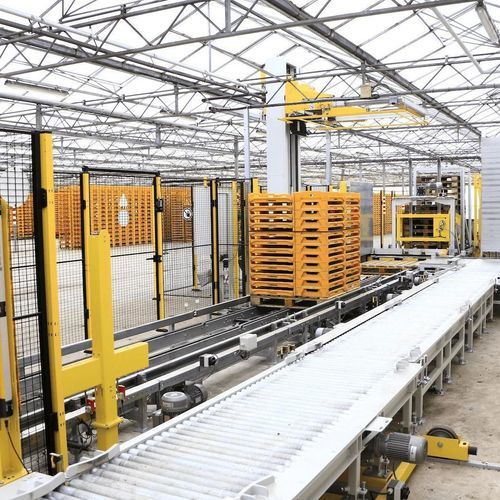Paletizador com bandejas - Visser Horti Systems - para caixas
