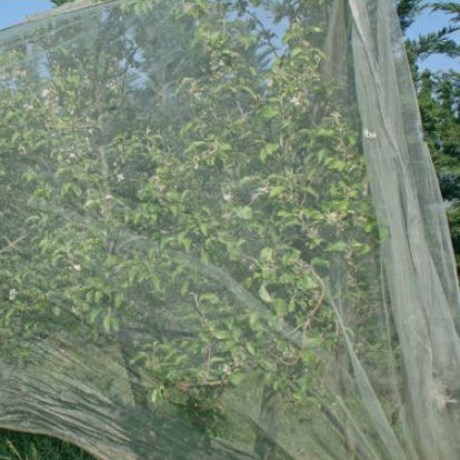 Tela anti-insetos - Vilmorin Jardin (Vilmorin Garden/ VDB) - em polietileno / para culturas arbóreas