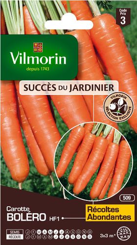 Semente de cenoura de outono - Boléro  - Vilmorin Jardin (Vilmorin Garden/ VDB) - híbrida / cônica