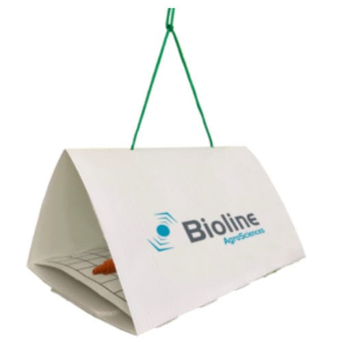 Armadilha para insetos - Delta - Bioline Agrosciences Inc/Bioline Canada Inc - com feromônios / para culturas agrícolas