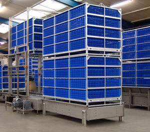 Caixa de transporte de frangos - VRE Systems - em plástico